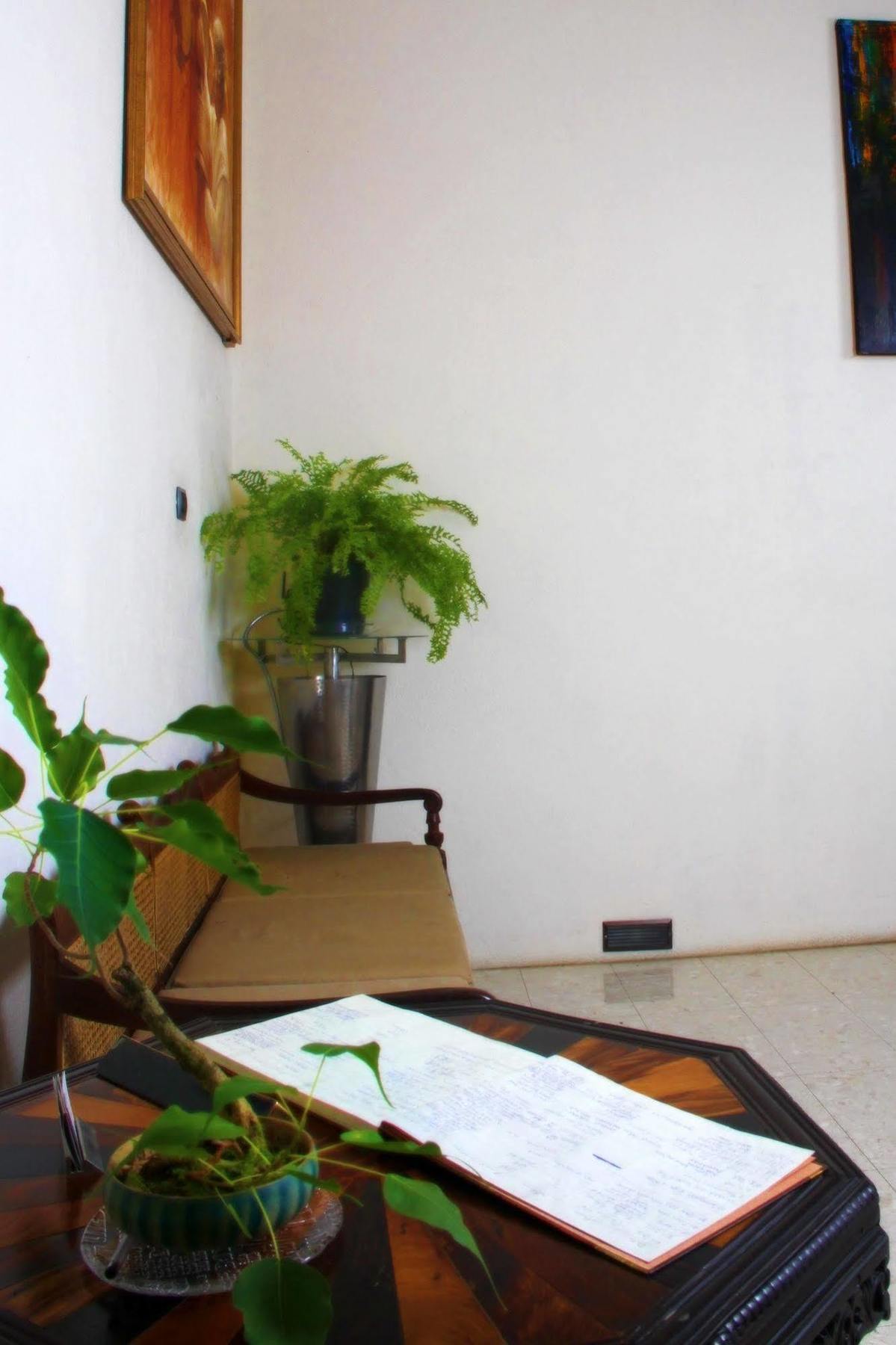 Lodge 19 Negombo Exterior foto